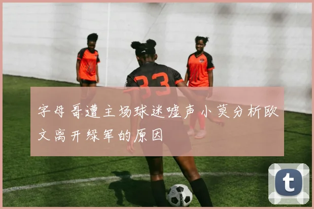 字母哥遭主场球迷嘘声小莫分析欧文离开绿军的原因